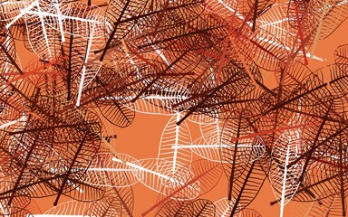 Light Red, Yellow vector natural backdrop with leaves.