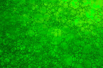 The close distance of the green bubble,Bubble, DNA, Drop, Liquid, Medicine,Foam Bubble from Soap or...