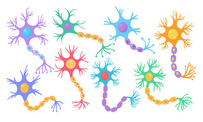 human sensory neuron model for biology studies