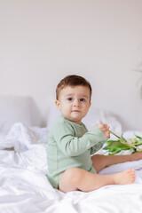 cute baby in a green cotton bodysuit is sitting on the bed and holding a white tulip in his hands