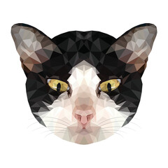 Black and white cat face, yellow eyes, gray whiskers, looking at something downstairs. Vector low poly style on white background.