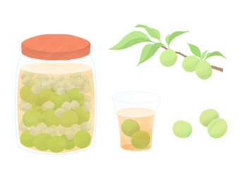 青梅と手作り梅酒