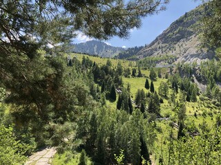 Medeo. Beautifull nature of Kazakhstan.