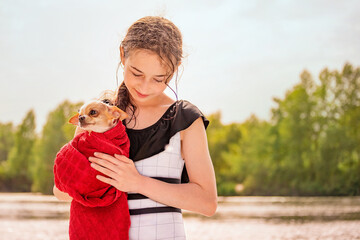 Teen girl and chihuahua dog in her arms. Beautiful girl near the river.