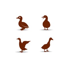 duck icon