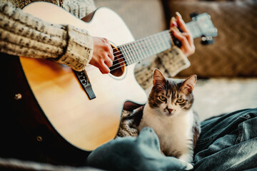 Girl sits on couch in room and plays guitar for cat. Friendship and love for pet. Warm friendly home environment.