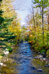 Beautiful Autumn scenery with the colors of Fall surrounding the rapids in a small river and a clear blue sky, HDR rendered photos