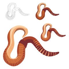 Earthworm, brown long curved worm flat, voluminous, with shadows vector