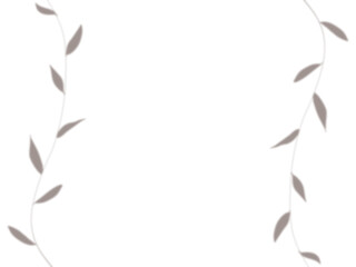 植物の影が映るシンプルな背景イラスト