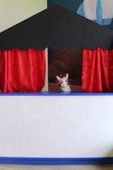 Guignol theater cultural and educational children's activity tells a story in a small replica of a...