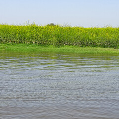 Obraz premium Yamuna River view from the boat in the day at Vrindavan, Krishna temple Kesi Ghat on the banks of the Yamuna River in the town of Vrindavan, Boating at Yamuna River Vrindavan