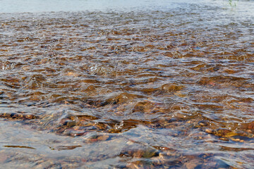 small waves on a lake with a sandy shore