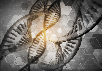 DNA molecules background