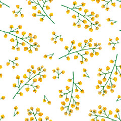 Seamless floral pattern of branches with small, spherical, yellow inflorescences on a white background. The flowers are hand-painted in watercolor.