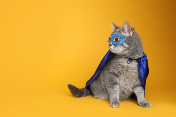 Adorable cat in blue superhero cape and mask on yellow background, space for text © New Africa