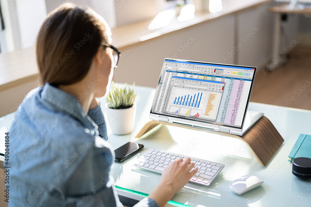 Poster analyst employee using spreadsheet