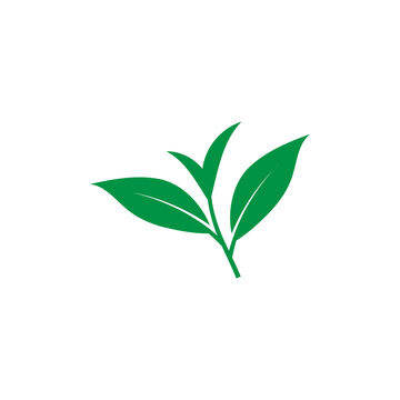 Tea leaf icon design template vector isolated illustration