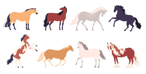 Set of different breeds of horses Vector illustration.