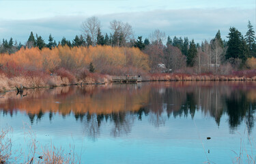 Fototapeta premium Fall view nice scene Lake view Quiet nice Fall 