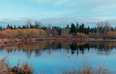 Fall view nice scene  Lake view Quiet nice Fall 