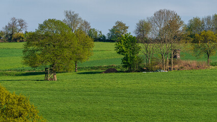 A hunting stand on a meadow near Heiligenhaus, North Rhine-Westphalia, Germany
