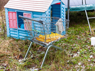 abandoned shopping trolley