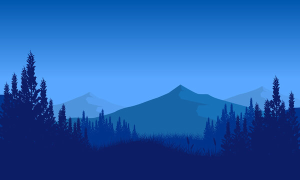 Beautiful view of mountains with the silhouette of pine tree branches from out of the city at night © City