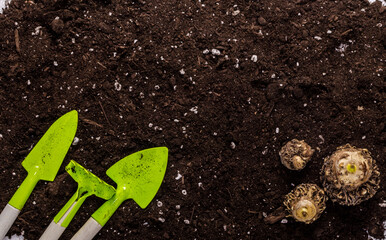 Black soil for planting with gardening tools. Top camera, top view.