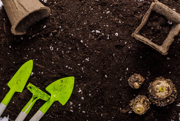 Black soil for planting with gardening tools. Top camera, top view.