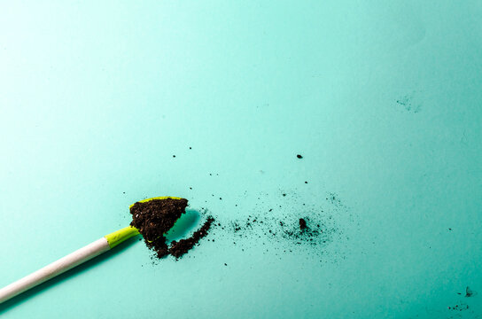 little sholve with soil garden tools on light blue background