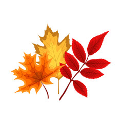 Autumn Falling Leaves Icon Isolated on White Background. Illustration