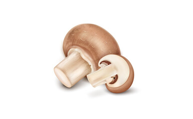 Fresh Brown Mushroom vector illustration with half piece of mushroom vegetable