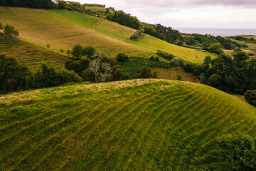 Fototapeta premium Agricultural plantations on hills under cloudy sky