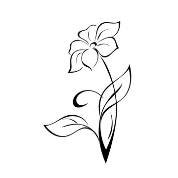 ornament 2241. stylized decorative blooming flower on a stem with leaves and curl. graphic decor