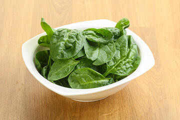 Fresh green spinach leaves in the bowl