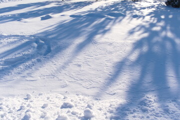 Fototapeta na wymiar Shadows in the snow