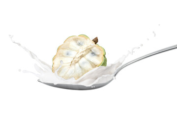 Milk or yoghurt splash with custard apple (sugar apple, annona, cherimoya fruit) on silver spoon isolated on white background.