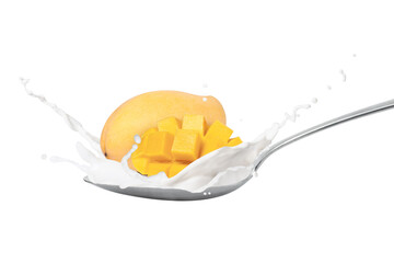 Milk or yogurt splash with fresh ripe mango fruit isolated on white background.