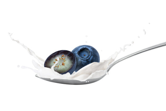 Milk or yogurt splash in spoon with fresh blueberry isolated on white background.