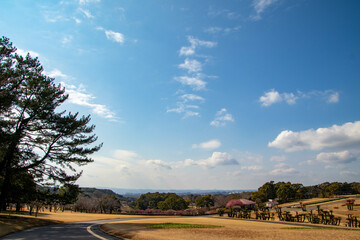 快晴の空と眺望