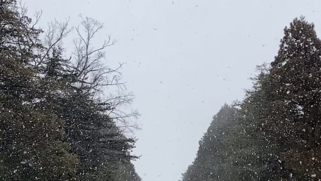 北海道の雪景色