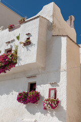 Monopoli Puglia streets buildings