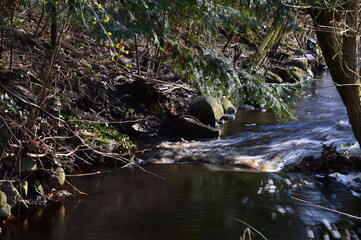 Landschaft im Winter am Fluss Fulde in der Stadt Walsrode, Niedersachsen