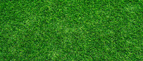 lawn at home increase green space Increase oxygen, reduce glare.and help alleviate the spread of...