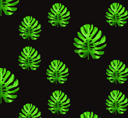 Pattern of palm leaves, monstera leaves, Green large leaves on a brown background