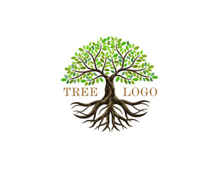 Tree and roots vector, abstract tree logo with circle shapes
