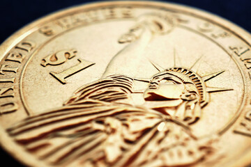 Fragment of American one dollar coin. Statue of Liberty and the sign of national currency. US...