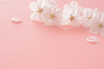 桜の花　和風の布