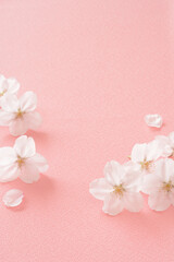 Obraz na płótnie Canvas 桜の花　和風の布