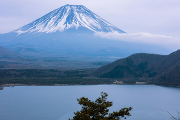 富士五湖周辺から朝霧をまとう富士山を望む。 - obrazy, fototapety, plakaty